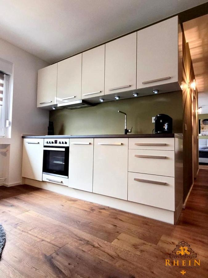 Top Modernes Rhein Apartment Vallendar Mit Balkon 外观 照片